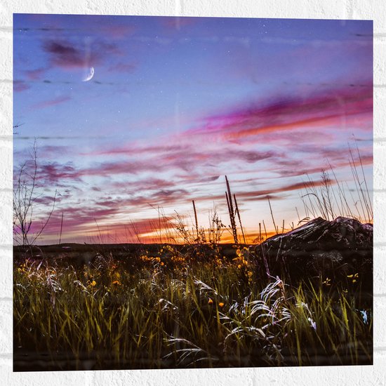 WallClassics - Muursticker - Roze Wolken in de Lucht - 50x50 cm Foto op Muursticker