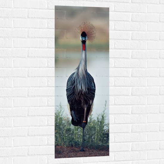 WallClassics - Muursticker - Statige Kraanvogel in Groene Grassen aan het Water - 40x120 cm Foto op Muursticker