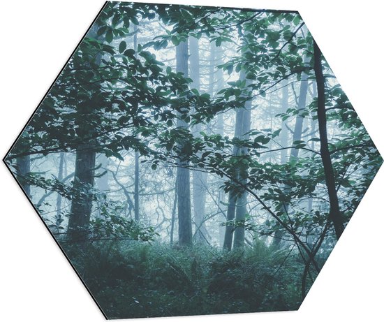 WallClassics - Dibond Hexagon - Lichte Mist in een Groen Bos - 70x60.9 cm Foto op Hexagon (Met Ophangsysteem)