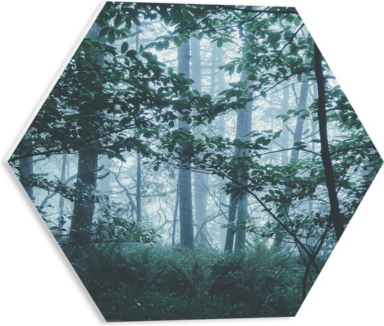 WallClassics - PVC Schuimplaat Hexagon  - Lichte Mist in een Groen Bos - 40x34.8 cm Foto op Hexagon (Met Ophangsysteem)