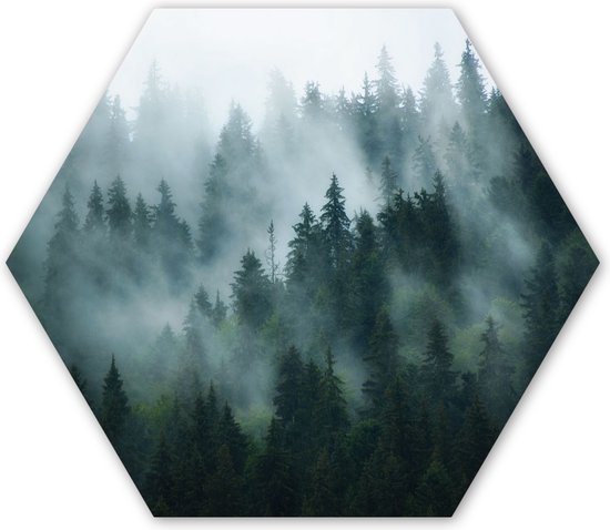 Hexagon wanddecoratie - Kunststof Wanddecoratie - Hexagon Schilderij - Mist - Bomen - Bos - 75x65 cm