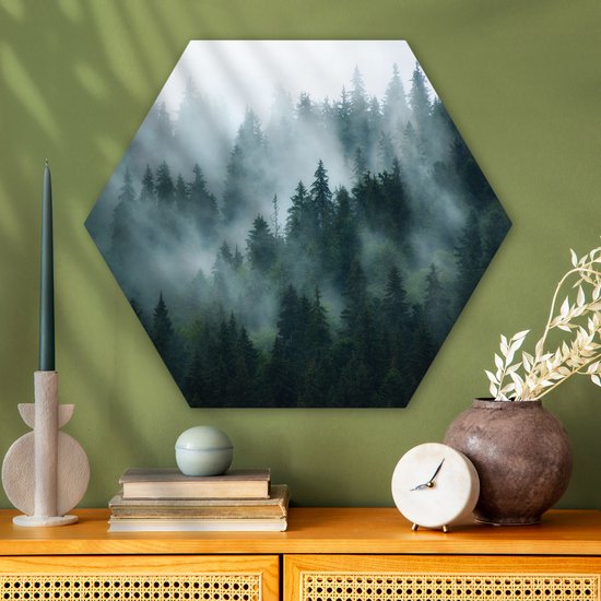 Hexagon wanddecoratie - Kunststof Wanddecoratie - Hexagon Schilderij - Mist - Bomen - Bos - 75x65 cm