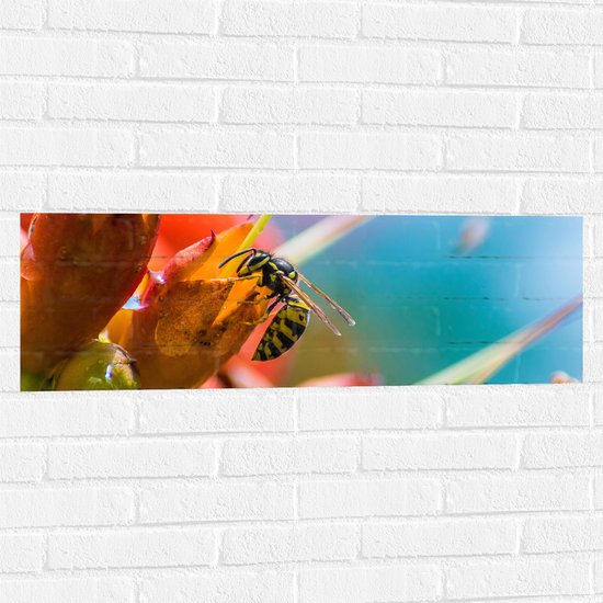 WallClassics - Muursticker - Bij op Rode Bloemen - 90x30 cm Foto op Muursticker