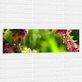 WallClassics - Muursticker - Roze Bladeren aan Tak - 120x40 cm Foto op Muursticker