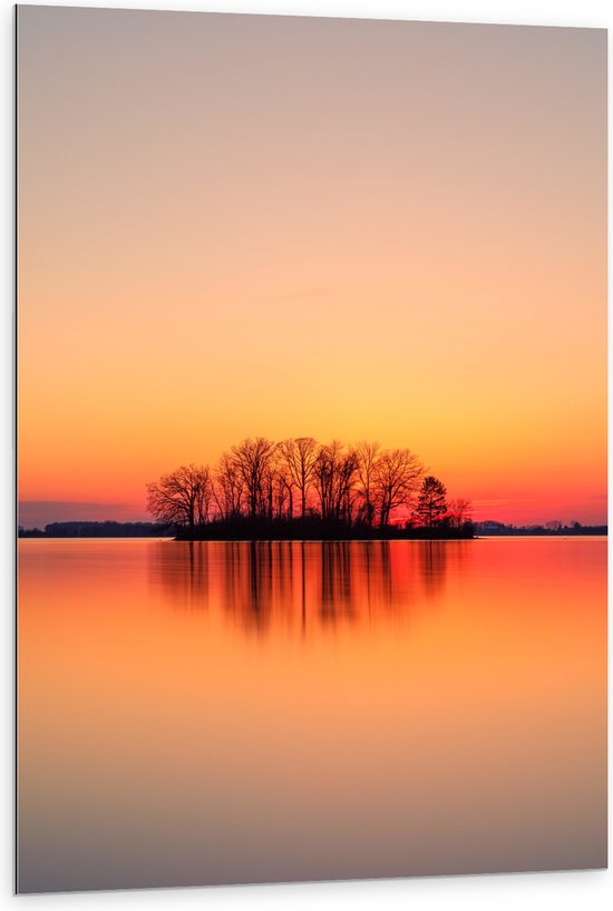 WallClassics - Dibond - Rode Lucht bij Bomen - 80x120 cm Foto op Aluminium (Met Ophangsysteem)