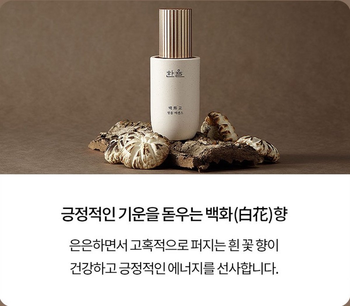 Hanyul Baek Hwa Goh Ampoule Essence - Anti-Aging Essence