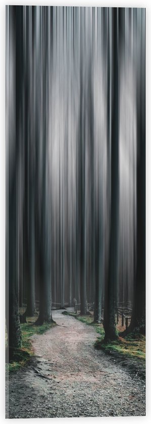 WallClassics - Acrylglas - Hele Hoge Abstracte Bomen - 20x60 cm Foto op Acrylglas (Wanddecoratie op Acrylaat)