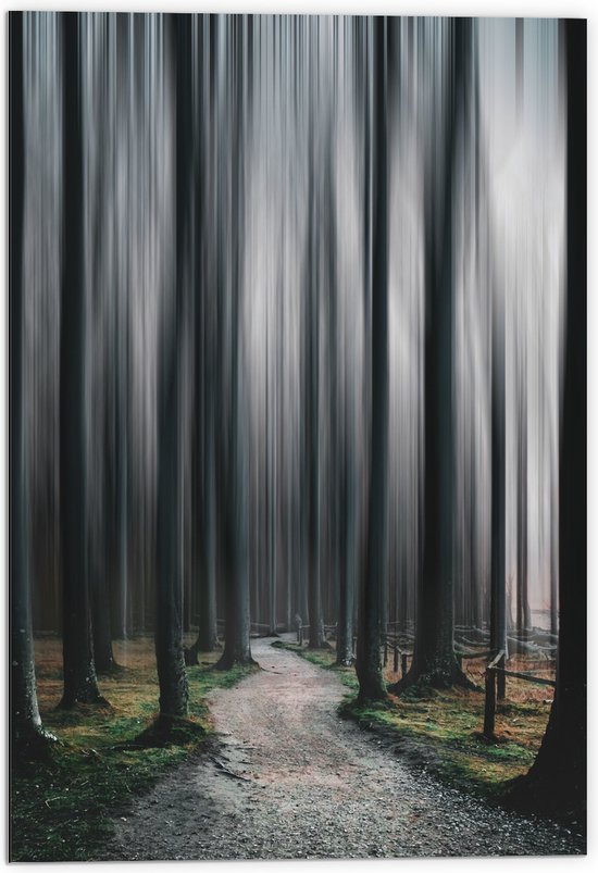 WallClassics - Dibond - Hele Hoge Abstracte Bomen - 70x105 cm Foto op Aluminium (Met Ophangsysteem)