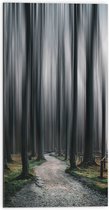 WallClassics - Dibond - Hele Hoge Abstracte Bomen - 50x100 cm Foto op Aluminium (Met Ophangsysteem)