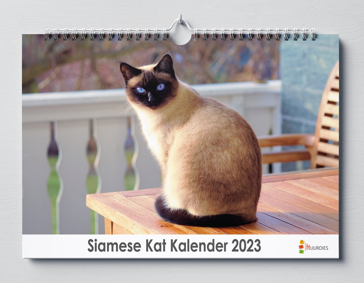 Siamese kat kalender 2023 | 35x24 cm | jaarkalender 2023 | Wandkalender 2023