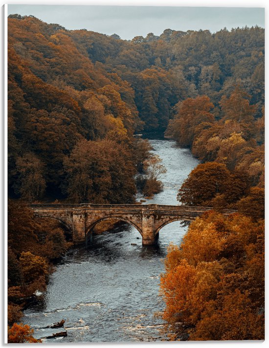 WallClassics - PVC Schuimplaat- Herfstige Bomen bij Brug over Rivier - 30x40 cm Foto op PVC Schuimplaat