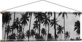 WallClassics - Textielposter - Heel Veel Palmbomen Zwart / Wit - 120x40 cm Foto op Textiel