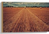 WallClassics - Hout - Balen Hooi op het Weiland - 60x40 cm - 12 mm dik - Foto op Hout (Met Ophangsysteem)