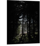 WallClassics - Dibond - Silhouet van Bomen in Bos - 75x100 cm Foto op Aluminium (Met Ophangsysteem)