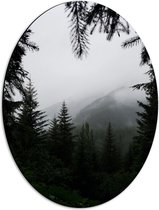 WallClassics - Dibond Ovaal - Mist in de Bergen - 42x56 cm Foto op Ovaal (Met Ophangsysteem)