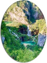 WallClassics - Dibond Ovaal - Park met Watervallen en Veel Begroeiing - 60x80 cm Foto op Ovaal (Met Ophangsysteem)