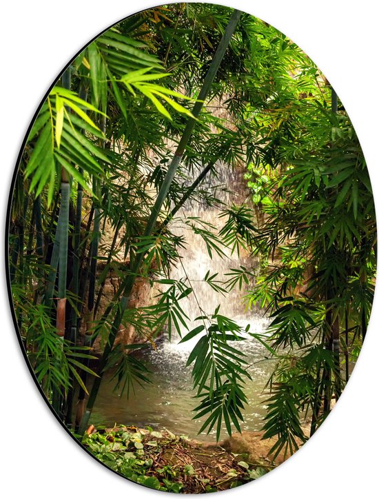 WallClassics - Dibond Ovaal - Bamboe bij Waterval - 30x40 cm Foto op Ovaal (Met Ophangsysteem)