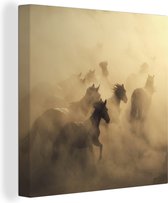 Canvas Schilderij Paarden - Zand - Groep - 50x50 cm - Wanddecoratie
