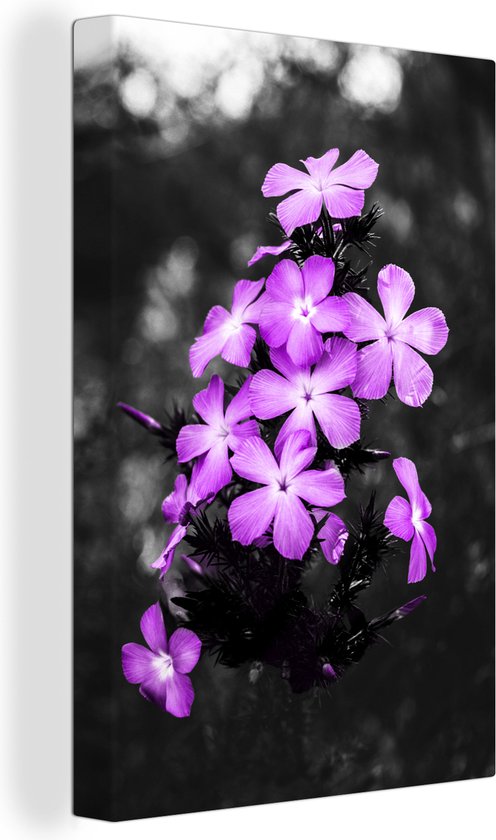 Peintures sur Toile Fleurs - Violet - Zwart - Wit - 40x60 cm - Décoration murale