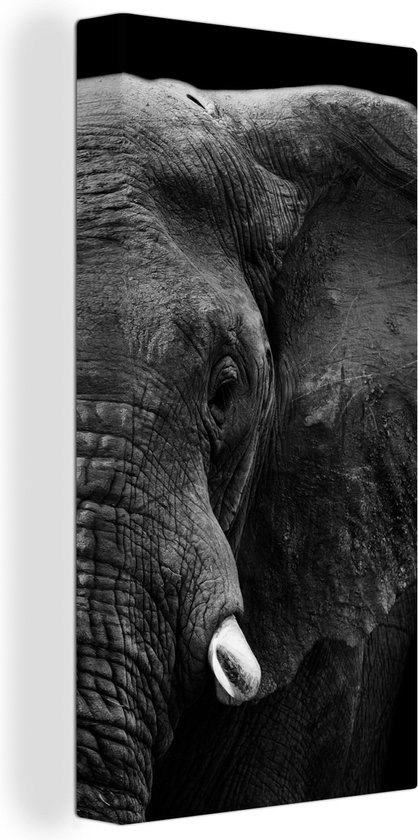 Canvas schilderij - Wilde dieren - Olifant - Zwart - Wit - Muurdecoratie - Canvas - 40x80 cm - Canvasdoek - Woonkamer