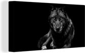 Canvas - Dieren - Wolf - Zwart - Wit - Schilderijen op canvas - 160x80 cm - Wanddecoratie - Canvasdoek