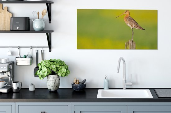 Toile - Tableau - Vogel - Animaux - Barge à queue noire - Perche - Vert - Peintures sur toile - Photo sur toile - 80x40 cm - Décoration murale - Salon