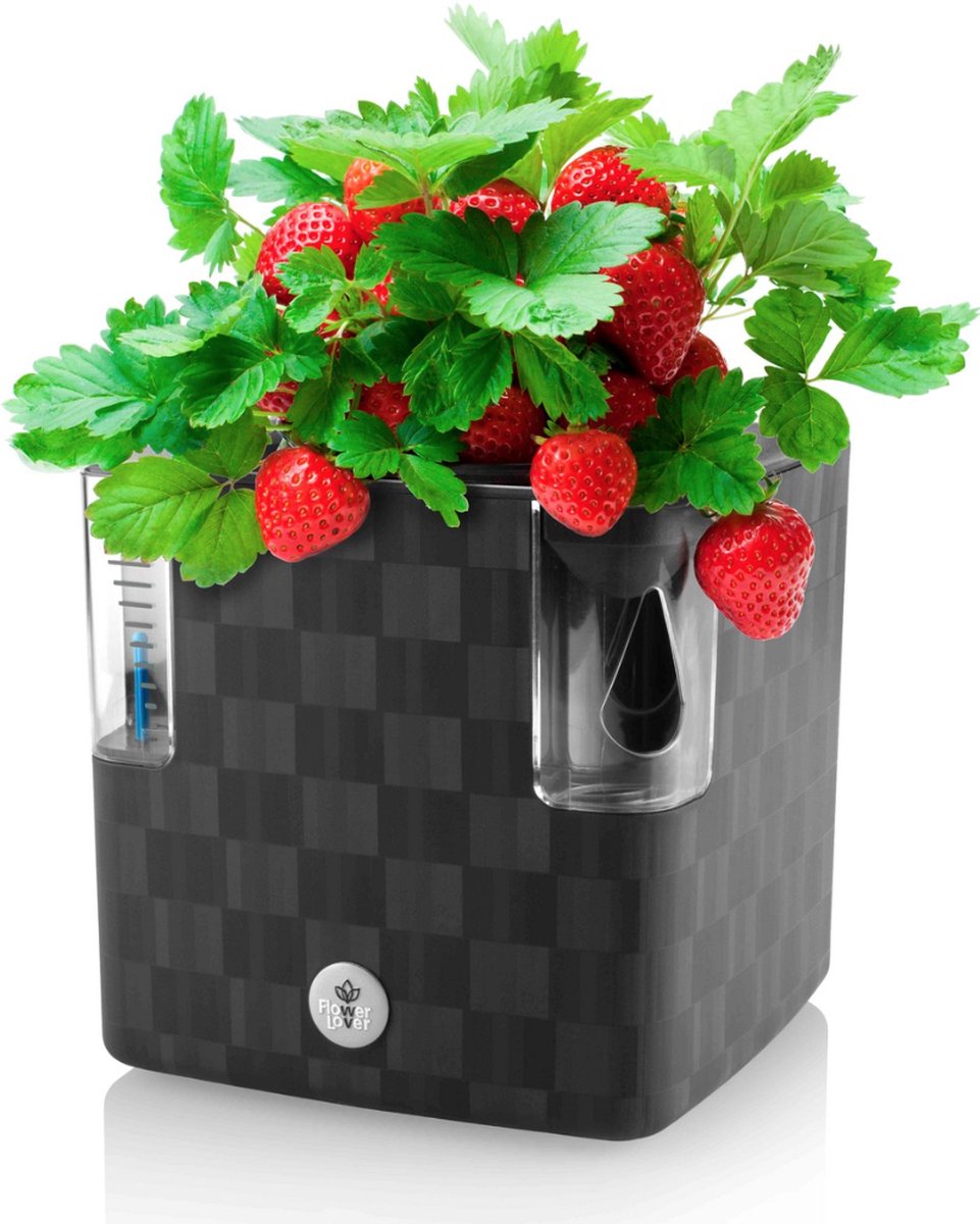thumbnail: Erhard-Trading Cobble Trio Kruidenpot Met Irrigatiesysteem - Antraciet - Voor 3 Plantenpotten