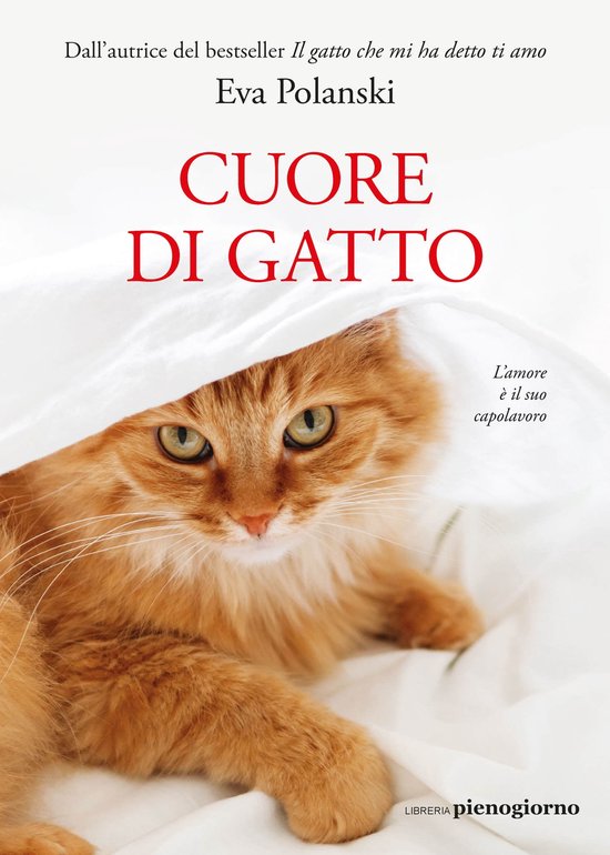 Un povero gatto randagio chiede disperatamente di essere adottato