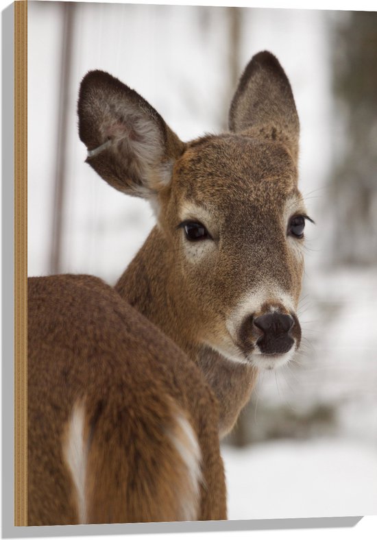 WallClassics - Hout - Hertje in de Sneeuw - 50x75 cm - 12 mm dik - Foto op Hout (Met Ophangsysteem)