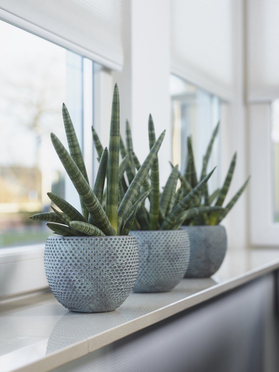 Pots de fleurs avec soucoupe noir D20 - lot de 3 AMSTERDAM