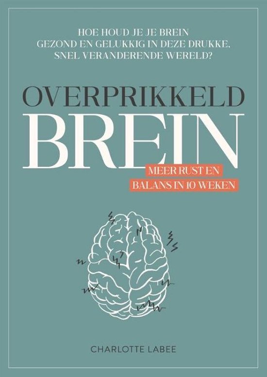 Boek: Overprikkeld brein, geschreven door Charlotte Labee