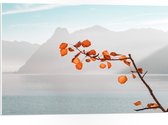 WallClassics - Feuille de Mousse PVC - Feuilles d' Oranje sur Branche pour Montagnes - 75x50 cm Photo sur Feuille de Mousse PVC