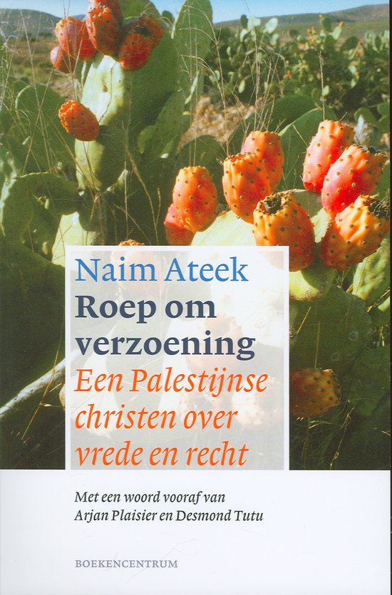 Cover van het boek 'Roep om verzoening' van Naim Ateek
