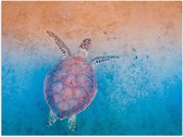 WallClassics - Poster (Mat) - Schildpad Zwemt naar het Strand - 80x60 cm Foto op Posterpapier met een Matte look