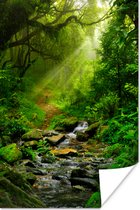 Poster Jungle - Water - Bladeren - Zon - Natuur - 40x60 cm - Kerstversiering - Kerstdecoratie voor binnen - Kerstmis