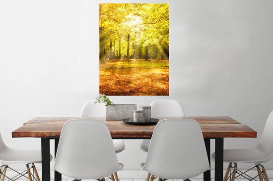 Affiche Arbre - Nature - Soleil - Paysage - Forêt - 60x80 cm