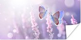 Poster Vlinder - Lavendel - Bloemen - Paars - 40x20 cm