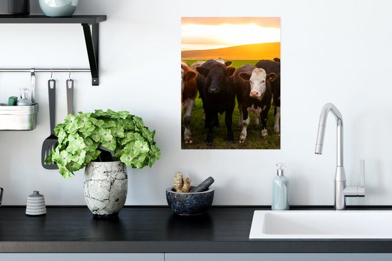 Affiche Vaches - Collines - Coucher de soleil - 30x40 cm