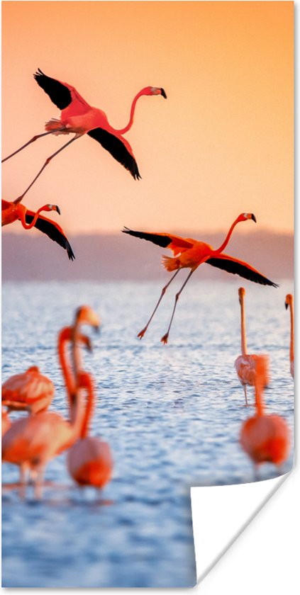 PosterMonkey - Poster - Cadre photo - Vogel - Flamingo - Coucher de soleil - Water - Tropical - 60x120 cm - Poster sous cadre - Poster flamant rose - Cadre poster - Poster animaux