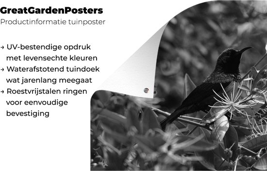 Tuinposter 60x40 cm - Tuindecoratie Vogel tussen de bladeren in de jungle - zwart wit - Poster voor in de tuin - Buiten decoratie - Schutting tuinschilderij - Tuindoek muurdecoratie - Wanddecoratie balkondoek