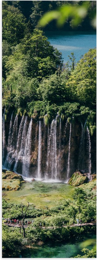 WallClassics - Poster Glanzend – Watervallen vanuit Bomen naar Beneden - 20x60 cm Foto op Posterpapier met Glanzende Afwerking