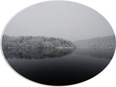 WallClassics - PVC Schuimplaat Ovaal - Winter Meer - 68x51 cm Foto op Ovaal  (Met Ophangsysteem)