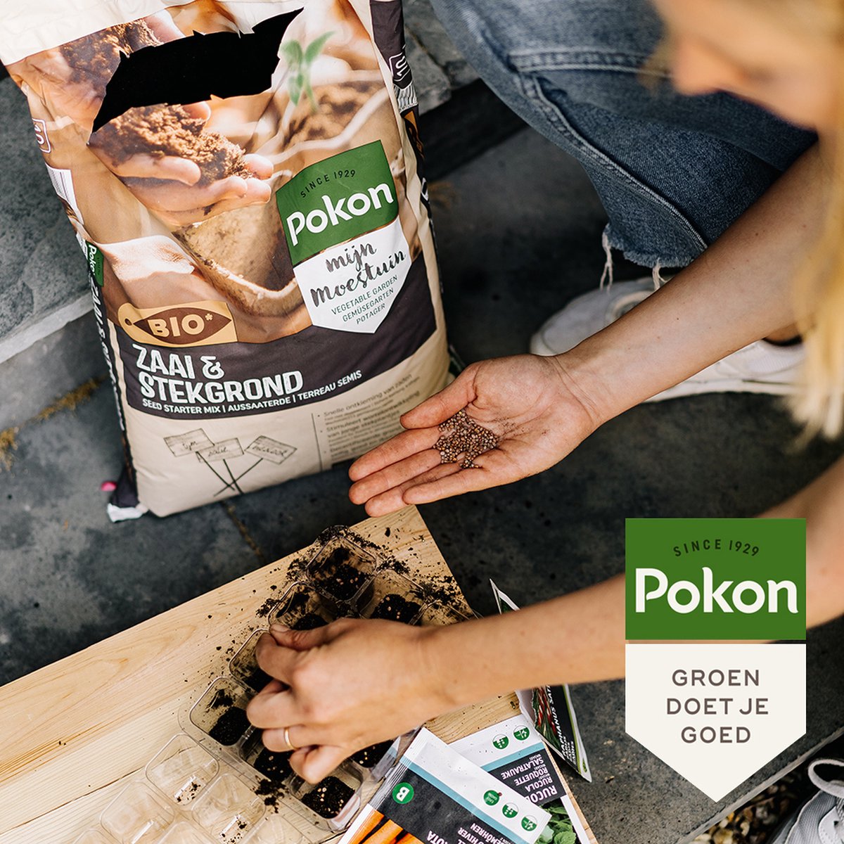Pokon Bio Zaai & Stekgrond Turfvrij 20L - Steck Utrecht