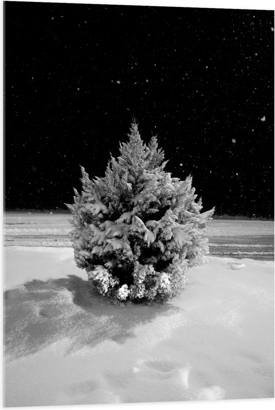WallClassics - Acrylglas - Wit Besneeuwde Kerstboom in het Donker - 70x105 cm Foto op Acrylglas (Met Ophangsysteem)