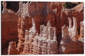 WallClassics - Dibond - Parc National de Bryce Canyon Utah Amérique - Photo 60x40 cm sur Aluminium (Avec Système d'accrochage)