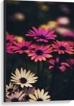 WallClassics - Toile - Fleurs Roses et Witte avec Branches - 60x90 cm Tableau sur Toile ( Décoration murale sur Toile)