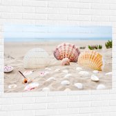 WallClassics - Muursticker - Schelpjes in het Zand op het Strand - 120x80 cm Foto op Muursticker