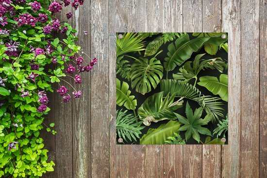 Posters de jardin Motif - Tropical - Feuilles - Garçons - Filles - Enfants - Enfant - 50x50 cm - Toile de jardin - Affiche extérieure
