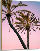 WallClassics - Hout - Twee Palmbomen bij Roze-Blauwe Lucht - 75x100 cm - 12 mm dik - Foto op Hout (Met Ophangsysteem)