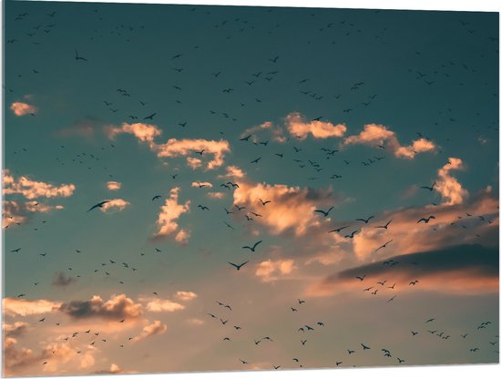 WallClassics - Acrylglas - Zwerm Vogels bij Witte Wolken - 100x75 cm Foto op Acrylglas (Wanddecoratie op Acrylaat)